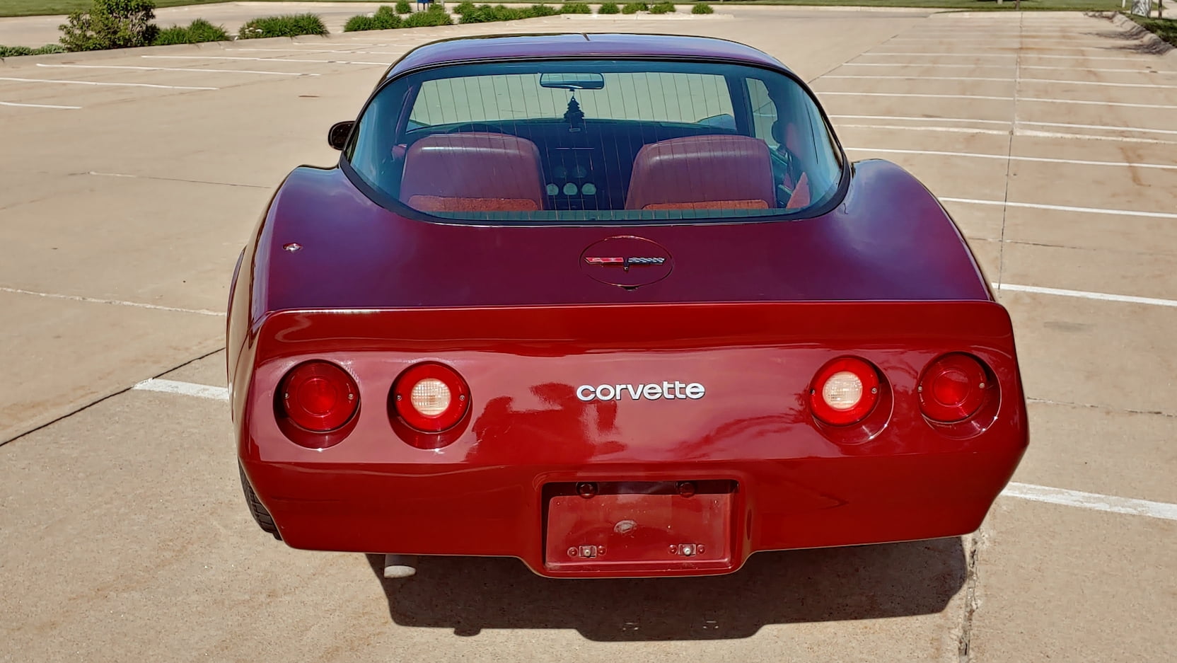 Corvette Generations/C3/C3 1981 rear.jpg